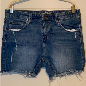 Universal thread jean shorts size 16 GUC